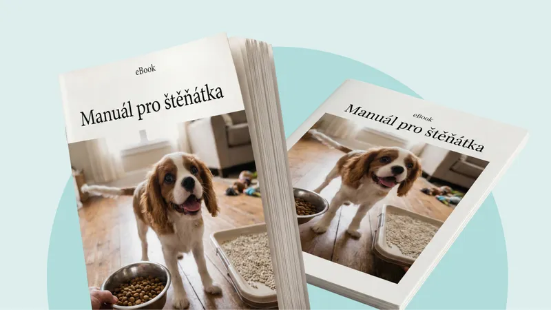 Manuál pro štěňátka