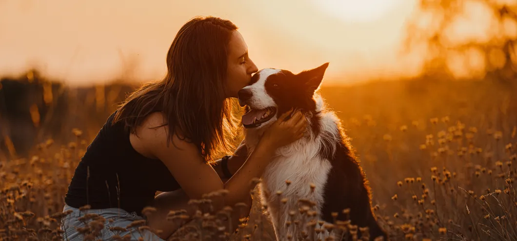 Žena líbá border collie v přírodě — zlaté světlo