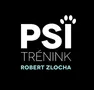 Psí trénink — Robert Zlocha