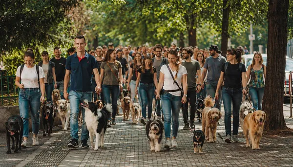 Robert s velkou skupinou lidí a psů na procházce